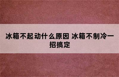 冰箱不起动什么原因 冰箱不制冷一招搞定